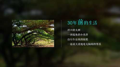 方圆地产·东江月岛影视策划案 一场关于理想栖居与光影艺术的交响